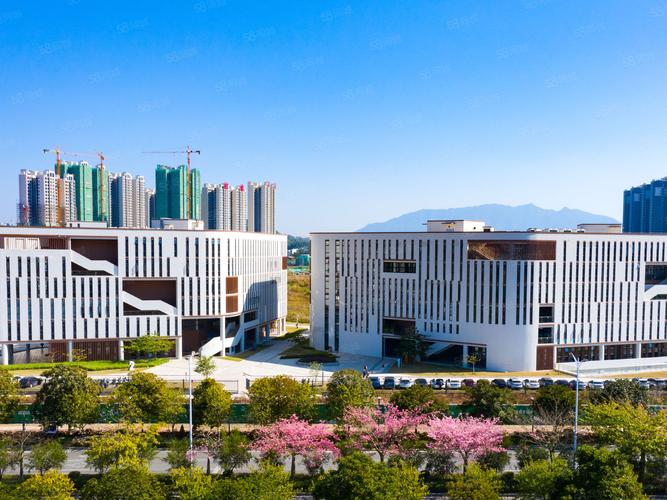 邻大学城!业主直租!清远星谷!地址可注册!